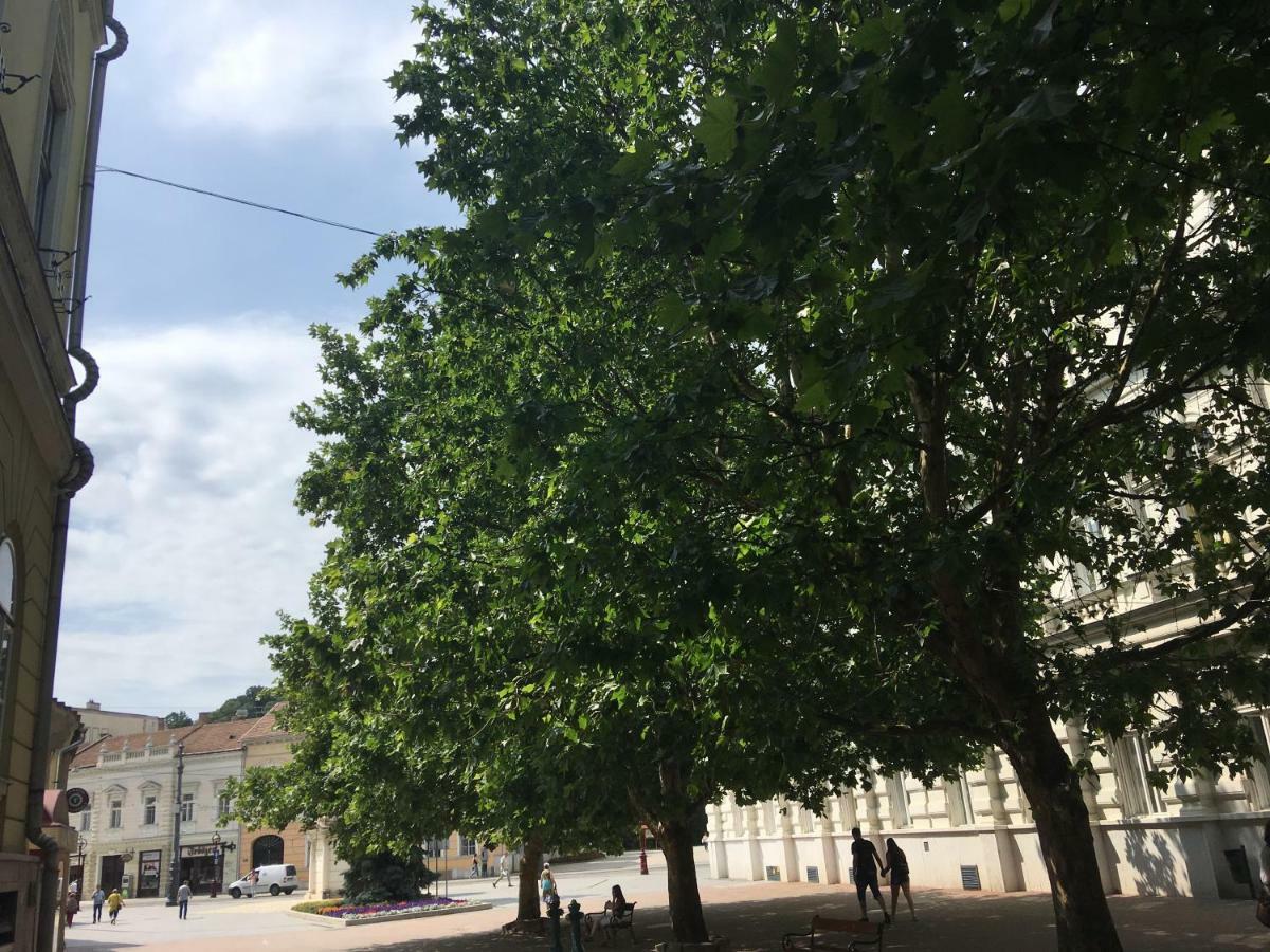 Mse Apartman Мишкольц Экстерьер фото